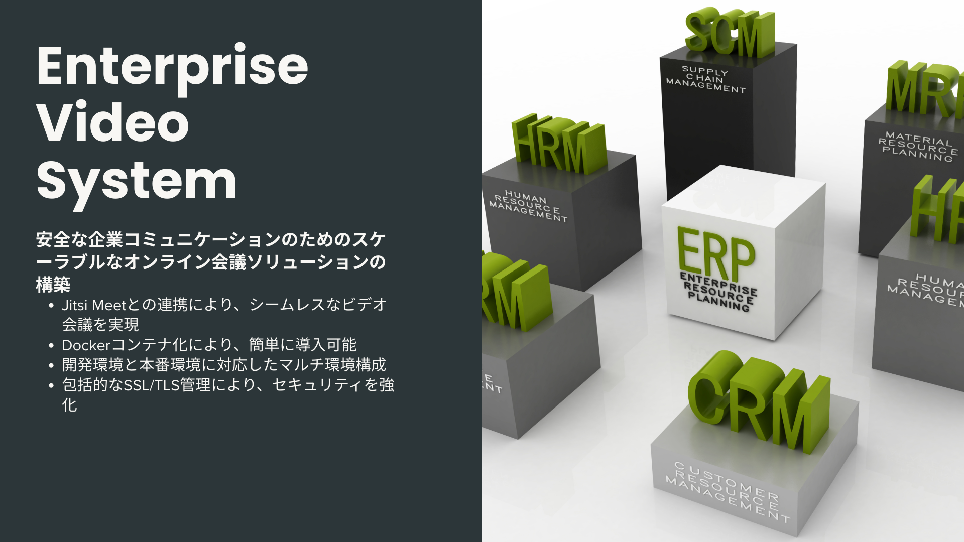 Enterprise Video System